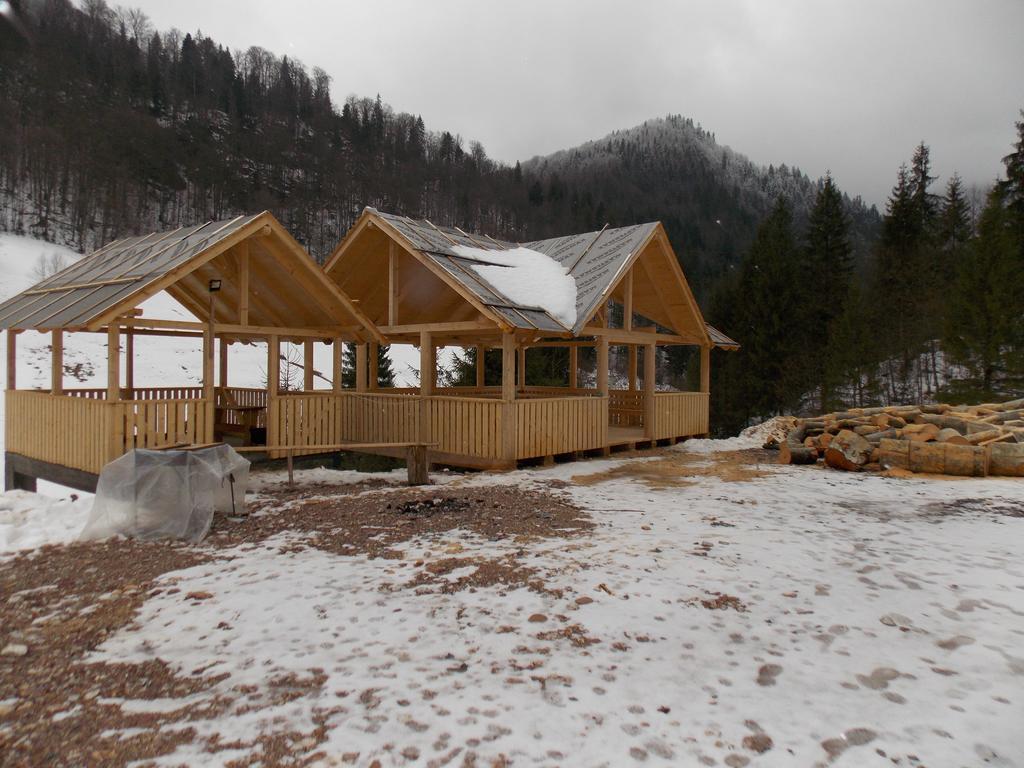 Pensiunea Izbucul Tauz Ghetari Exterior foto