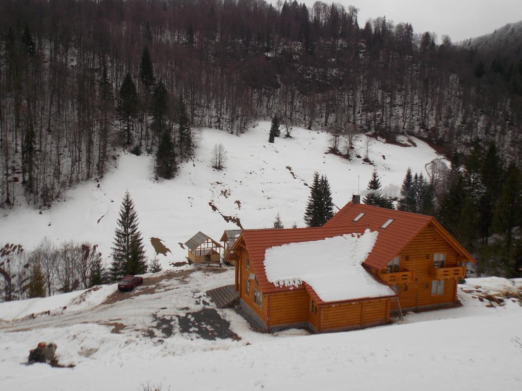 Pensiunea Izbucul Tauz Ghetari Exterior foto