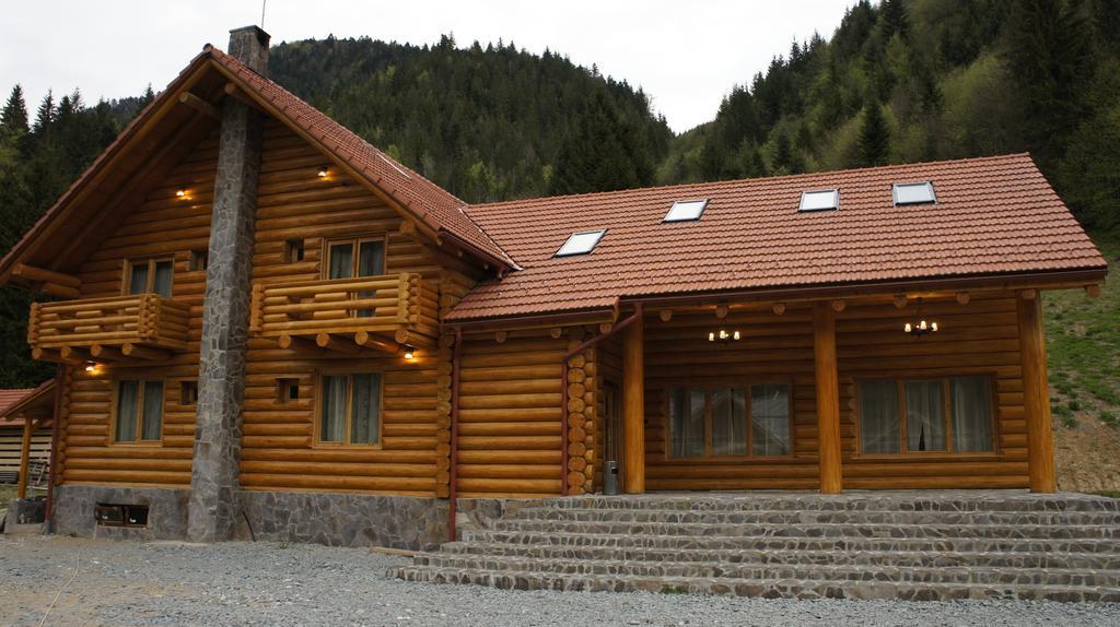 Pensiunea Izbucul Tauz Ghetari Exterior foto
