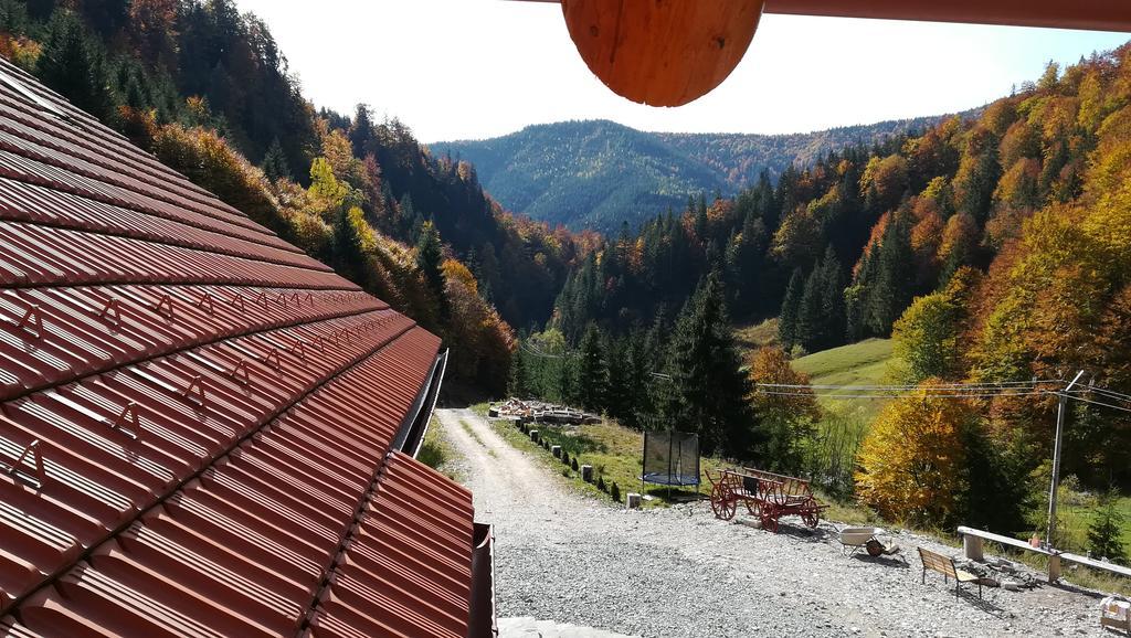 Pensiunea Izbucul Tauz Ghetari Exterior foto